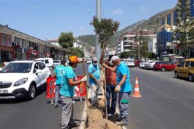 YENİ PRESTİJ CADDESİ ZAKKUM ÇİÇEĞİ İLE RENKLENİYOR