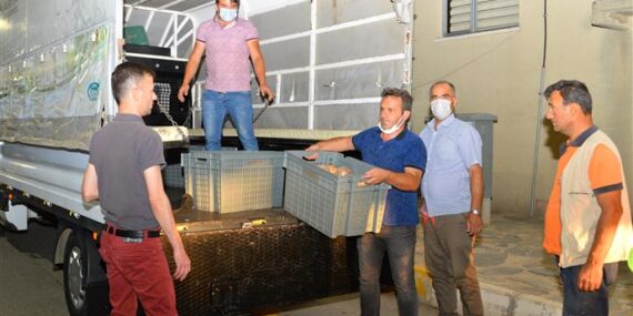 ALANYA BELEDİYESİ MANAVGAT VE AKSEKİ’YE DESTEK SEFERBERLİĞİ BAŞLATTI