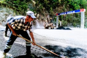 böcek-kırsalda-çalışıyor