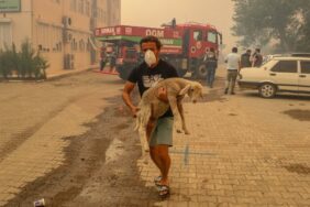 f0f8521a89bc5f96bc814cb80aa80bae-1