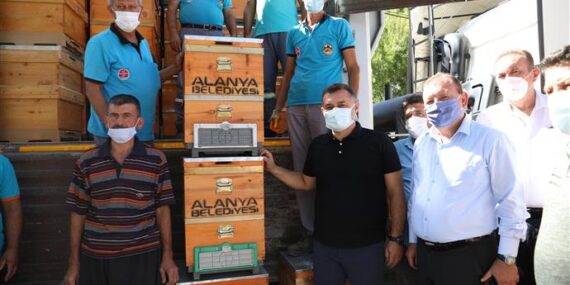 Alanya Belediyesi 23 Arıcıya ücretsiz 350 arı kovanı dağıttı
