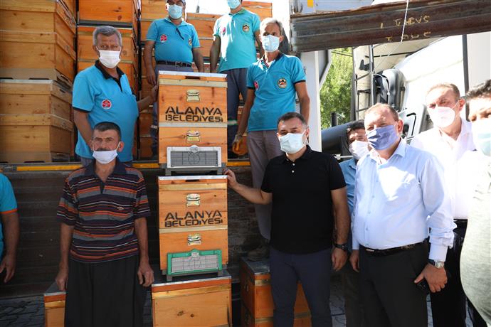 ALANYA BELEDİYESİ YANGIN AFETİNDE KOVANLARI ZARAR GÖREN 23 ARICIYA ÜCRETSİZ 350 ARI KOVANI DAĞITTI