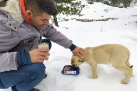ALANYA BELEDİYESİ’NDEN CAN DOSTLARA KAR ALTINDA YARDIM