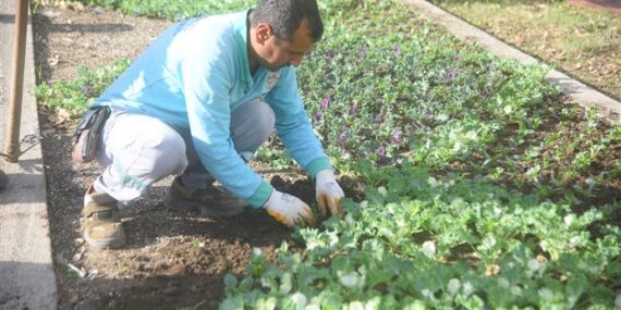 RENGAREK ÇİÇEKLER TOPRAKLA BULUŞUYOR