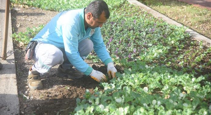 RENGAREK ÇİÇEKLER TOPRAKLA BULUŞUYOR