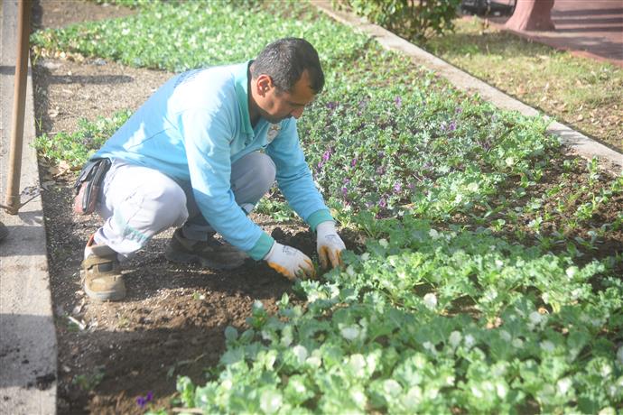 RENGAREK ÇİÇEKLER TOPRAKLA BULUŞUYOR