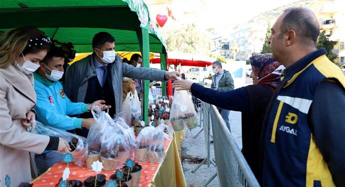 ALANYA BELEDİYESİ’NDEN 14 ŞUBAT SÜRPRİZİ 10 BİN ÇİÇEĞİN DAĞITIMINA BAŞLANDI