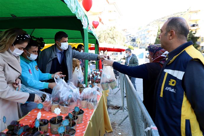 ALANYA BELEDİYESİ’NDEN 14 ŞUBAT SÜRPRİZİ 10 BİN ÇİÇEĞİN DAĞITIMINA BAŞLANDI