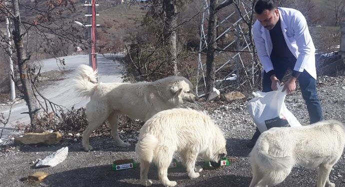 Alanya Belediyesi can dostlara elini uzatıyor