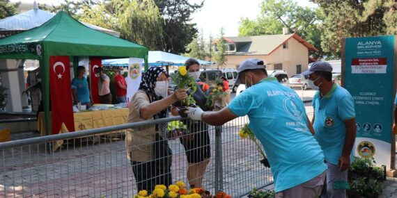 ALANYA BELEDİYESİ BAYRAMDA 62 BİN ÇİÇEK DAĞITACAK