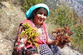 c5f97802-0fe2-4df3-8871-155b33690843