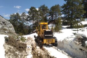 d8a3602d-ce81-4e8a-b045-fbac85a23e34