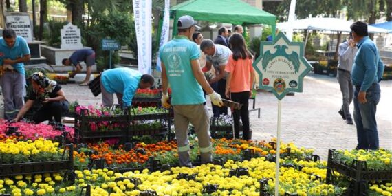 ALANYA BELEDİYESİ BAYRAMDA ÜCRETSİZ 60 BİN ÇİÇEK DAĞITACAK