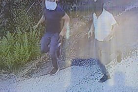 ff39ca5f-fa67-4183-81e4-0463694323cd