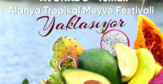 AVOKADO TEMALI TROPİKAL MEYVE FESTİVALİ YAKLAŞIYOR