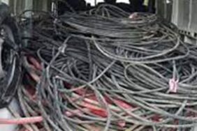 alanyada_muz_serasindan_40_bin_tllik_elektrik_kablosu_calindi_h67753_10021