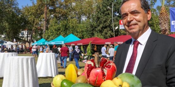 Gazipaşa festivale hazır