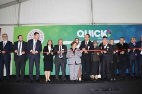 115630755-1669305365