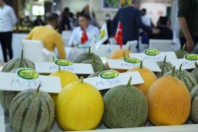 growtech_icin_geri_sayim_basladi_h73189_4d81b