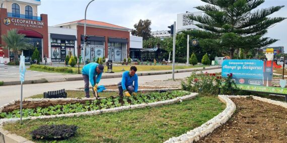 TÜM ŞEHİR KIŞLIK MEVSİMLİK ÇİÇEKLERLE DONATILIYOR