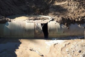 6203668feb10bb2968aaa075