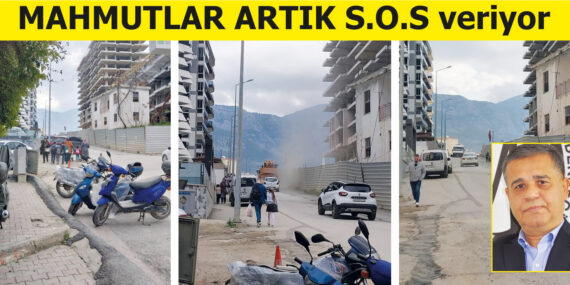 ARTIK UYAN MAHMUTLAR!