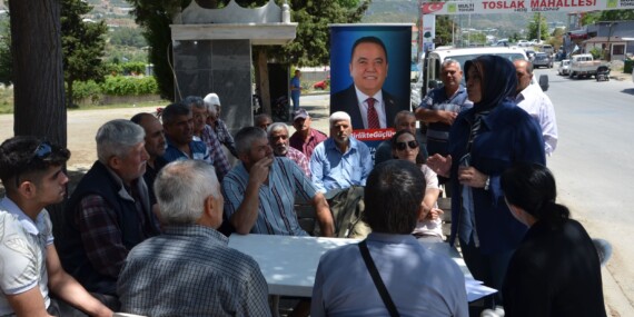 ALANYALI 117 ÇİFTÇİYE TARIMSAL HİBE DESTEĞİ VERİLDİ
