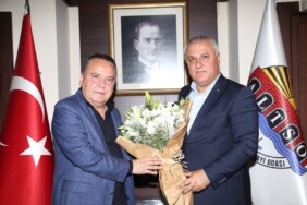 2399acf8-556a-46fe-9c0a-0c545dc00534