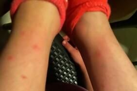 ed0e6493-6b96-4509-a471-92bfa12654db