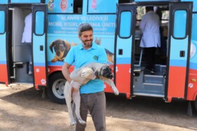 294971c5-dc98-4ab6-a43e-55b4504eb977