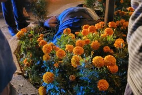 b2b9674b-c820-440a-a62c-fa27748be139