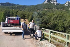 cd1fed98-641e-41a2-b02b-7fae490a838e