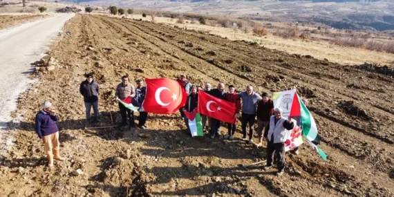 KONYA TAŞKENT’TE ‘FİLİSTİN KİRAZ BAHÇESİ’ OLUŞTURULDU