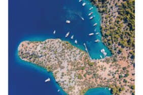 f1d402c8-5888-45f1-91a6-5ee6328bbed5