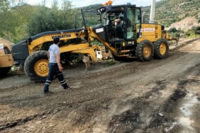 55d31830-c669-4499-8e37-896a04afa6e9