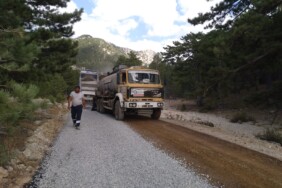 a4a5d726-5864-408f-9692-84e7245509dd