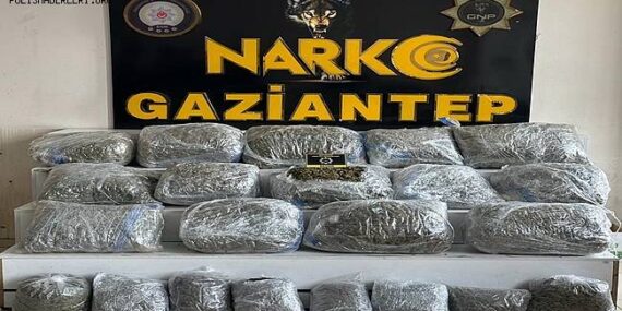 Gaziantep’te 78 Kilo 50 Gram Skunk Ele Geçirildi