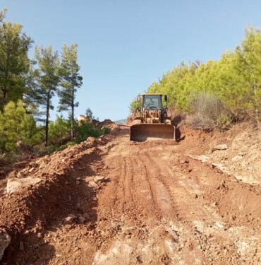 3098f114-4c74-4c01-bb98-d1ac176e704d