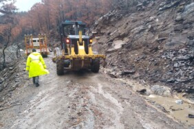 3e5460e0-ac5c-471f-9933-849823b3ecaf