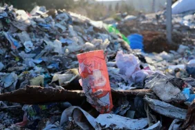 BYogqMqvMEGb21SpYpPVZA