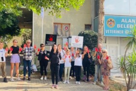 IMG-20231105-WA0077-740x420