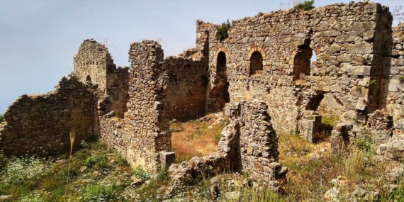SYEDRA BÜYÜLÜYOR