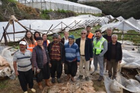 d84dde9e-7882-4b8b-8dd7-a1f0568ab8da