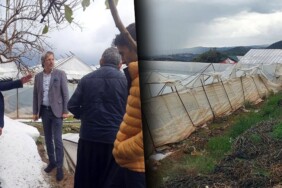 f8040d4d-8e92-40b0-a49c-747ddf474685