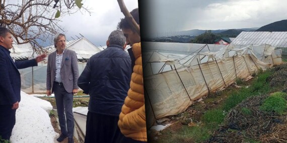 Alanya’da mağdur üreticilere Dr. Biner desteği