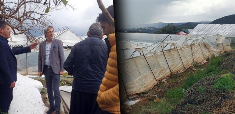 Alanya’da mağdur üreticilere Dr. Biner desteği