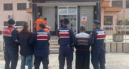 Avokado hırsızları yakalandı
