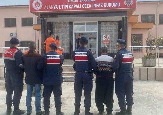 Avokado hırsızları yakalandı