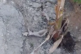 ekran-resmi-2024-04-03-165258