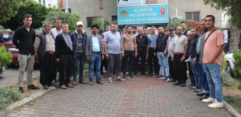 Alanya’da üreticiler isyan etti! Kurban satış yerlerinin fiyatına büyük zam